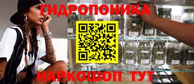 амф Малгобек