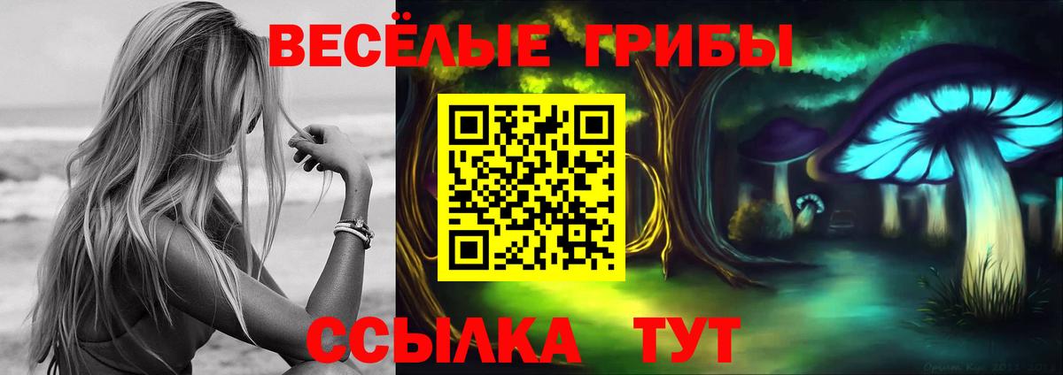 Псилоцибиновые грибы Psilocybine cubensis Дивногорск